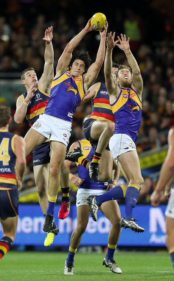 AFL 2016 Rd 23 - Adelaide v West Coast ADELAIDE, AUSTRALIA - AUGUST 26:Tom Barrass of the Eagles marks in front of team mate Jonathan Giles, Josh Jenkins and Mitch McGovern of the Crows during the 2016 AFL Round 23 match between the Adelaide Crows and the West Coast Eagles at Adelaide Oval on August 26, 2016 in Adelaide, Australia. (Photo by AFL Media)